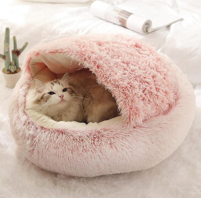 Bed For Cats And Dogs